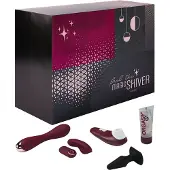 We-vibe Feel the Magic Shiver Advent Calendar