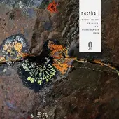 Brilliant Classics Natthall