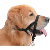 Halti Training Collar Schwarz 51-73 cm