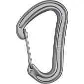 Edelrid Nineteen G II Karabiner grau