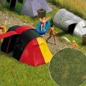 Busch Sommergras