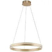 Paul Neuhaus LED Pendellampe CCT Q-Vito Ring Pendelleuchte Ring Works with Alexa, Fernbedienung messing matt Wohnzimmer, Esszimmer, Küche 8411-13, 8411-55, 8411-60