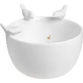 Räder Vögel