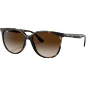 Ray-Ban Sonnenbrille Damen RB4378 Havana Gradient Brown S