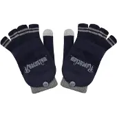 Cinereplicas Harry Potter: Ravenclaw