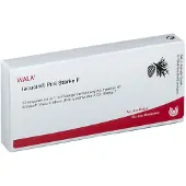 Wala Iscucin pini Stärke F Ampullen 10x1 ml