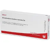 Wala Strophanthus Kombe e semine D 4 Ampullen 10x1 ml