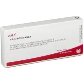 Wala Viscum Crataegus Ampullen 10x1 ml