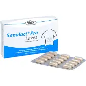 Laves-Arzneimittel GmbH Sanalact Pro Laves Kapseln, 30 St. Kapseln