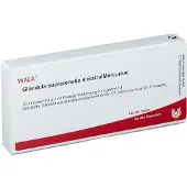 Wala Glandula Suprarenalis sinistra/Mercurius Ampullen 10x1 ml
