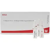 Wala Pons GL D 5 Ampullen 10x1 ml