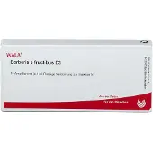 Wala Berberis E fructibus D 3 Ampullen 10x1 ml