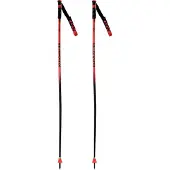 Rossignol - Bâtons de ski - Hero Gs Sg für Herren - Größe 115 cm - Rot