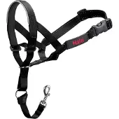 The company of animals Halti Trainingshalsband