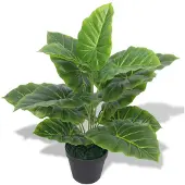 vidaXL Maleo