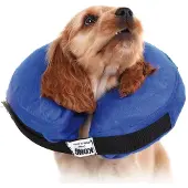 Kvp Kong Cloud Hundehalsband