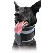 Kvp Bite Free Hundehalsband