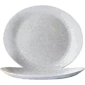Arcoroc Flache Glasplatte