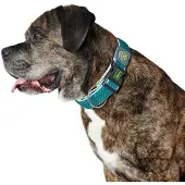Hunter Pet Plus Thread Hundehalsband