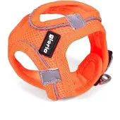 Gloria Hundegeschirr Air Mesh Trek Star Einstellbar Orange (18-20 cm)
