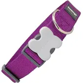 Red Dingo Dog Hundehalsband