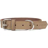 Gloria Oasis Hundehalsband