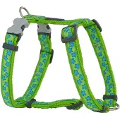 Red Dingo Style Star Hundegeschirr
