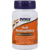 Now Acidophilus 4x6 60 vegetarische Kapseln