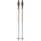 One Way Herren Alpin-Skistock TR VARIO