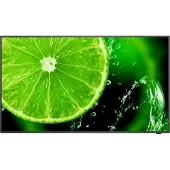 NEC MultiSync E658, 165,1 cm (65"), IPS, 3840 x 2160 Pixel, 16/7