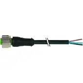 Murr Elektronik 7000-12181-6330150 Sensor-/Aktor-Steckverbinder, unkonfektionier