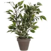 Mica Ficus Natsja Marbled Artificial Plant Grün