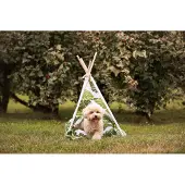 Croci Tipi-Dschungel