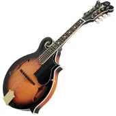 Vgs 505455 Sunburst