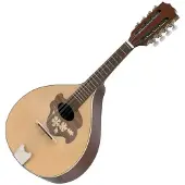 Gewa 505397