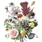Kek Amsterdam Wallpaper Wilde Blumen