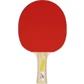 PRO TOUCH Tischtennis-Schläger PRO 2000