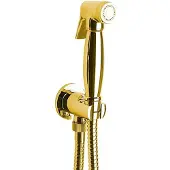 Sapho Bidetbrause, Retro-Stil, Schlauch und Brausehalter mit Duschanschluss, Gold