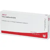 Wala Tuba Auditiva GL D 12 Ampullen 10x1 ml