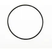 Bestway Tank O-Ring für 1000gal Sandfilter