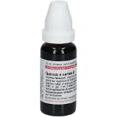 DHU Quercus E Cortice Urtinktur 20 ml Dilution