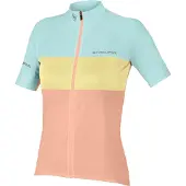 Endura Damen-Badeanzug FS260-Pro | Größe S