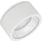 Ledvance DL SURFACE DN250P 45