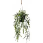 Botanic-Haus Künstliche Zimmerpflanze "Asparagus-Hängeampel"