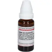 DHU Sabal Serrulatum D 4 Dilution 20 ml