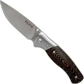 Buck Klappmesser Folding Selkirk