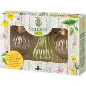 Moses Blatt & Blüte Solar Lichter 3er Set Gartendeko