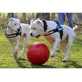 Jolly Push-n-Play - Blau - 15 cm