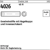 Lemvigh-Muller M 6X12 pinol skrue med flad ende ISO 4026 - (1000 stk.)