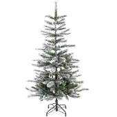 Evergreen Cedar Kiefer Frost 150 cm 150 cm